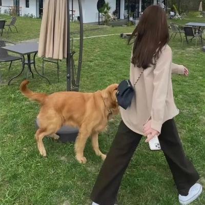 与玛格丽特的午后